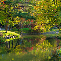 中島公園のロケーションフォト